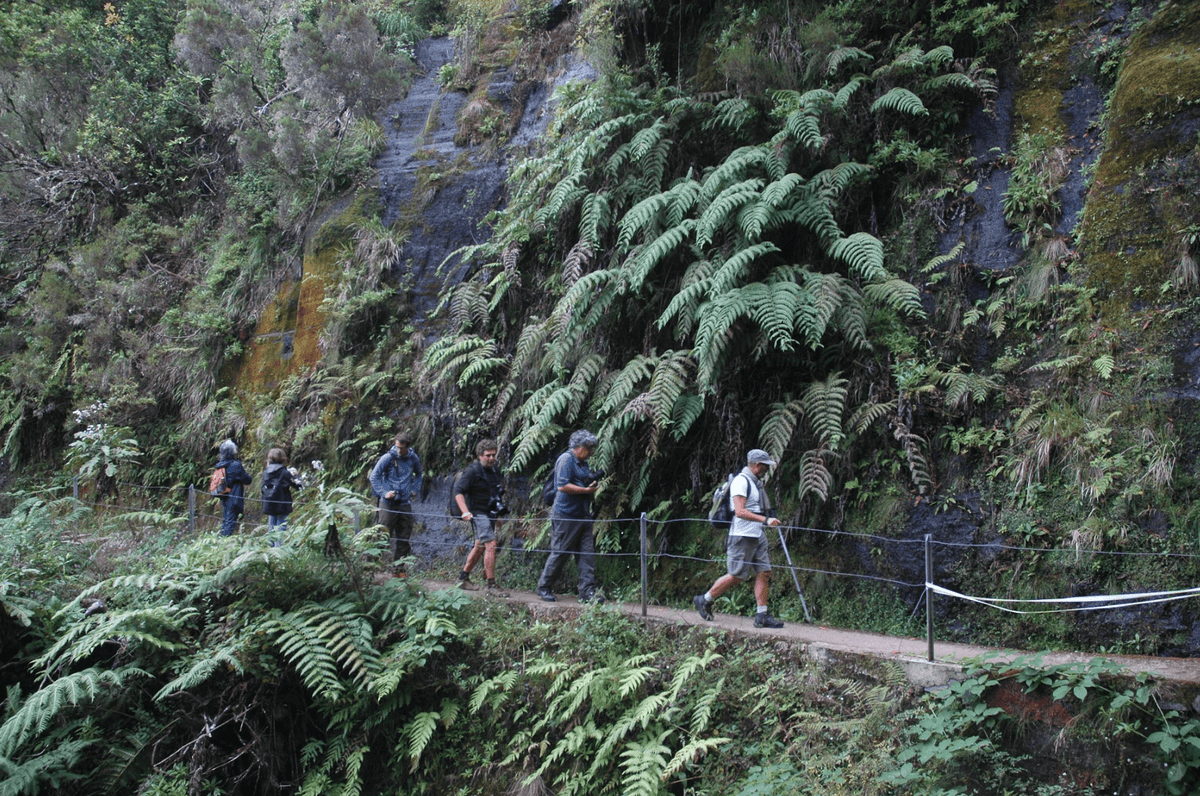 Madeira: a ilha do tesouro (agora perdido)