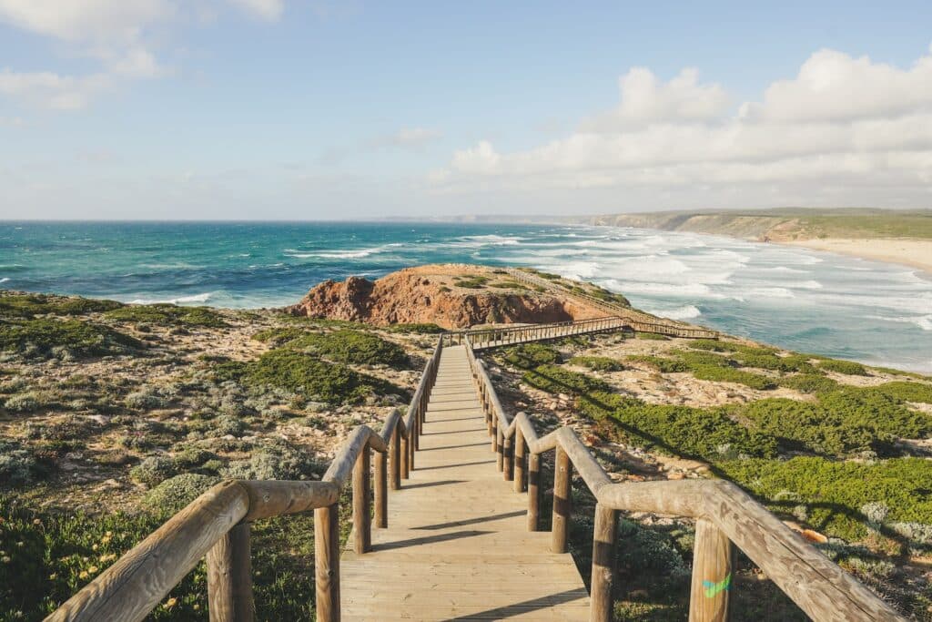 photography of seashore during daytime