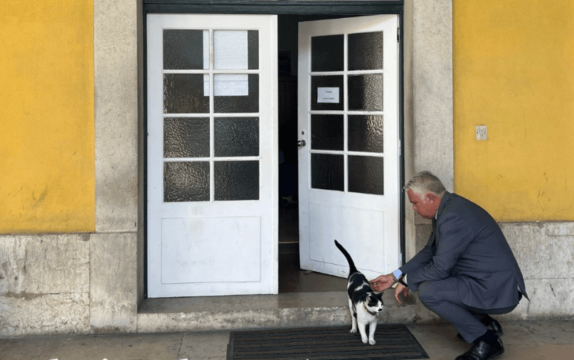 Aqui há gato: Autoridade Tributária e Aduaneira ‘forja’ contratos de limpeza com franceses da Samsic