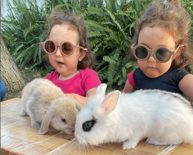 Hospital de Santa Maria: Contratos do fármaco para tratar gémeas luso-brasileiras escondidos do Portal Base