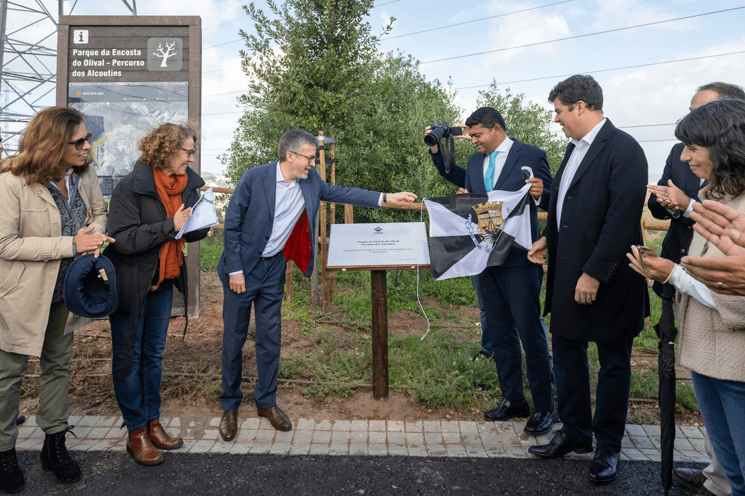 Câmara de Lisboa: só este ano, contratos em assessoria política atingem os 1,8 milhões de euros