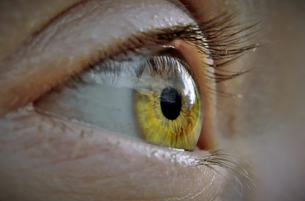 eye, eyelashes, macro