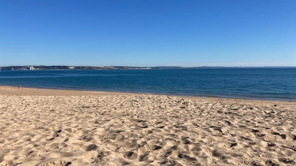 a sandy beach with a body of water in the background