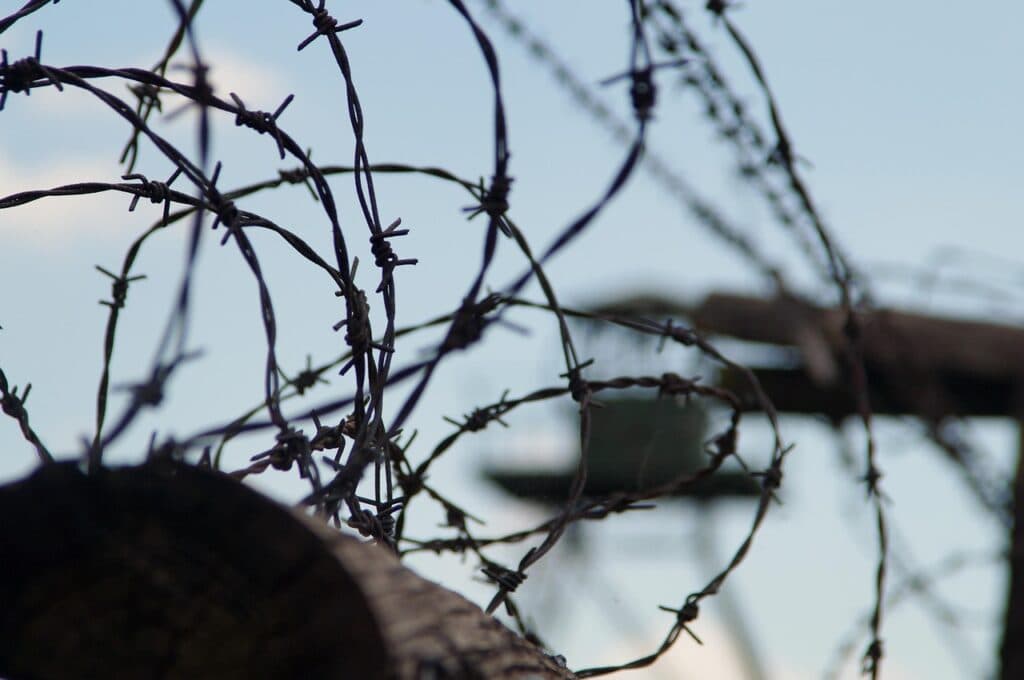 nature, tree, barbed wire, outdoors, sky, iron curtain, cold war, boundary, wire, security, prison, old, blue security, blue prison, blue war, iron curtain, cold war, cold war, cold war, cold war, cold war