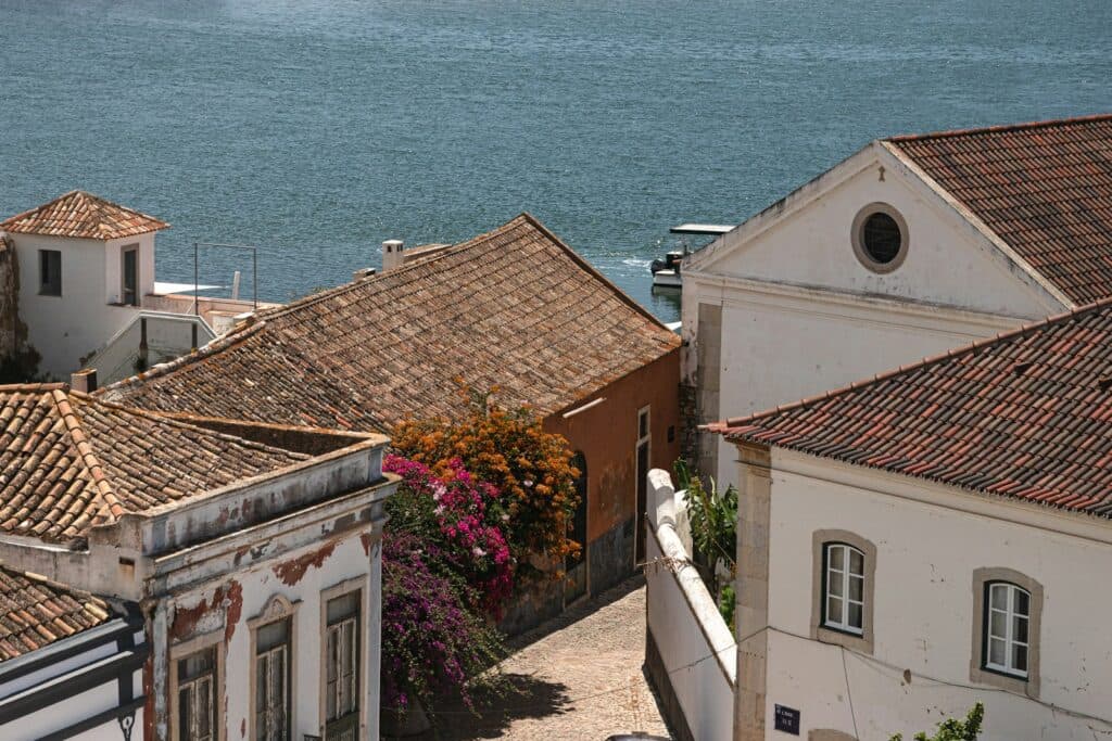 a row of houses by the water