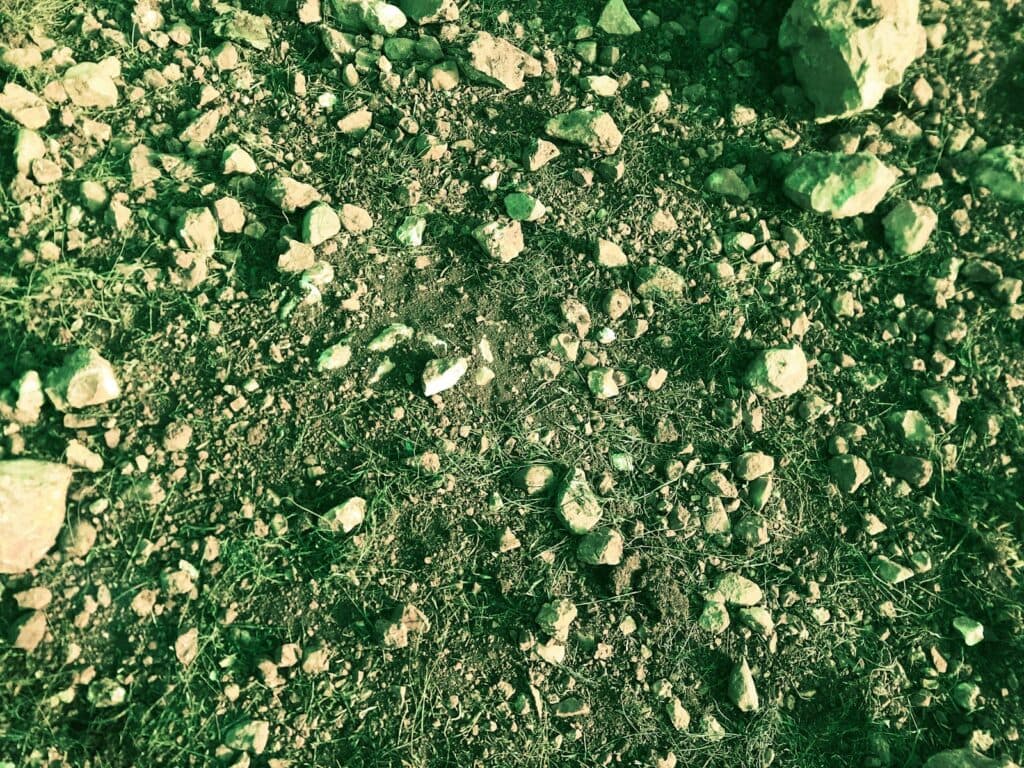a close up view of rocks and grass
