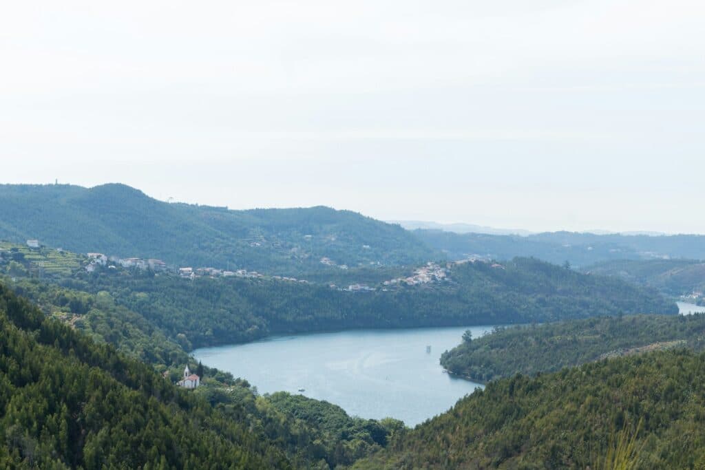 a lake surrounded by trees