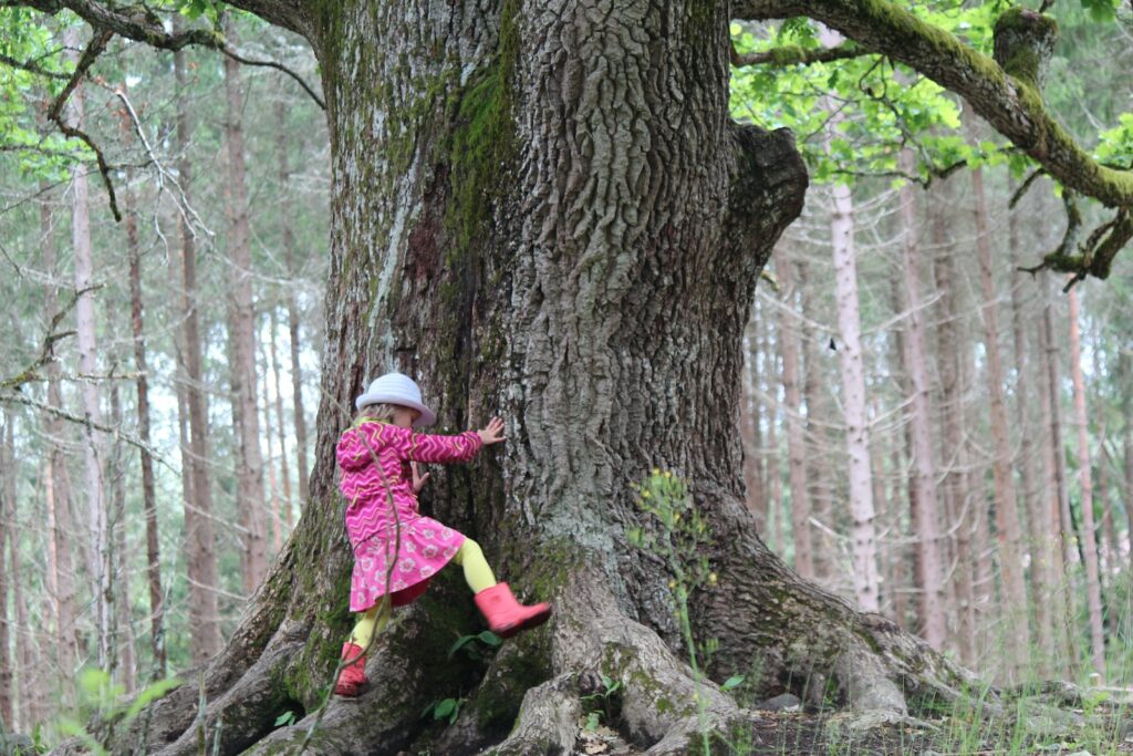 girl in pink jacket and pink pants climbing on brown tree during daytime