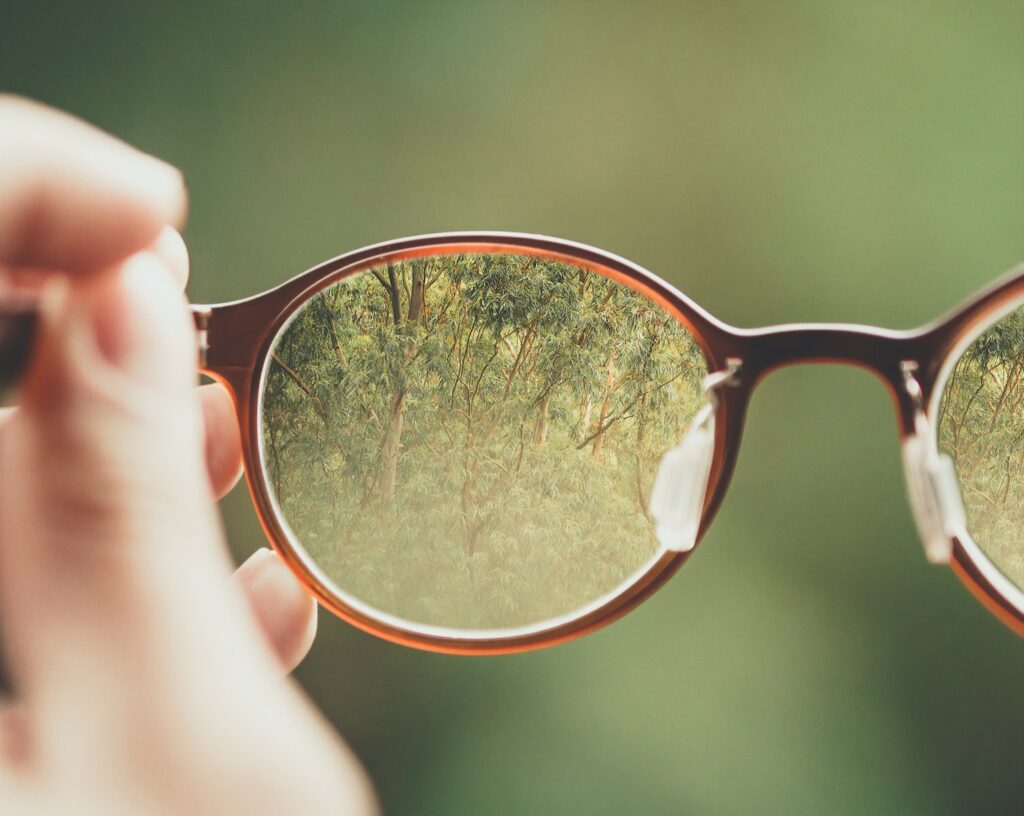 person holding brown eyeglasses with green trees background